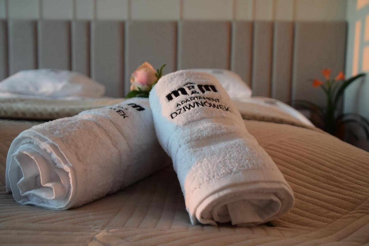 M&M Apartament Дзивновек Экстерьер фото
